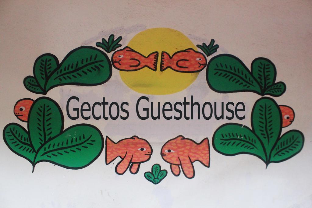 Cactus Guesthouse อารัมบล ภายนอก รูปภาพ