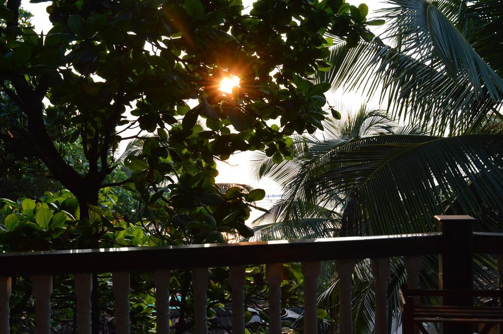 Cactus Guesthouse อารัมบล ภายนอก รูปภาพ